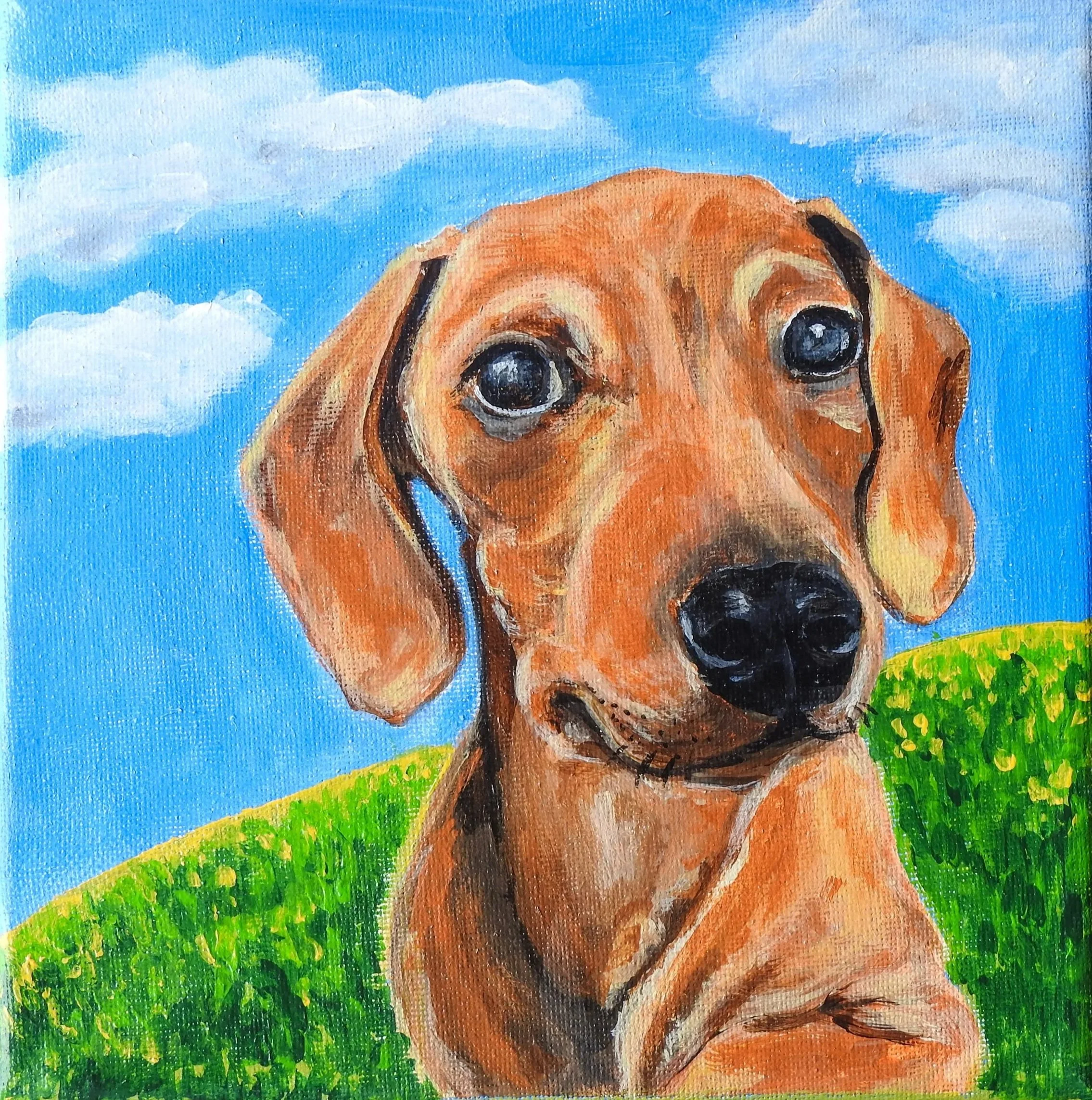 Frankie the Dachshund