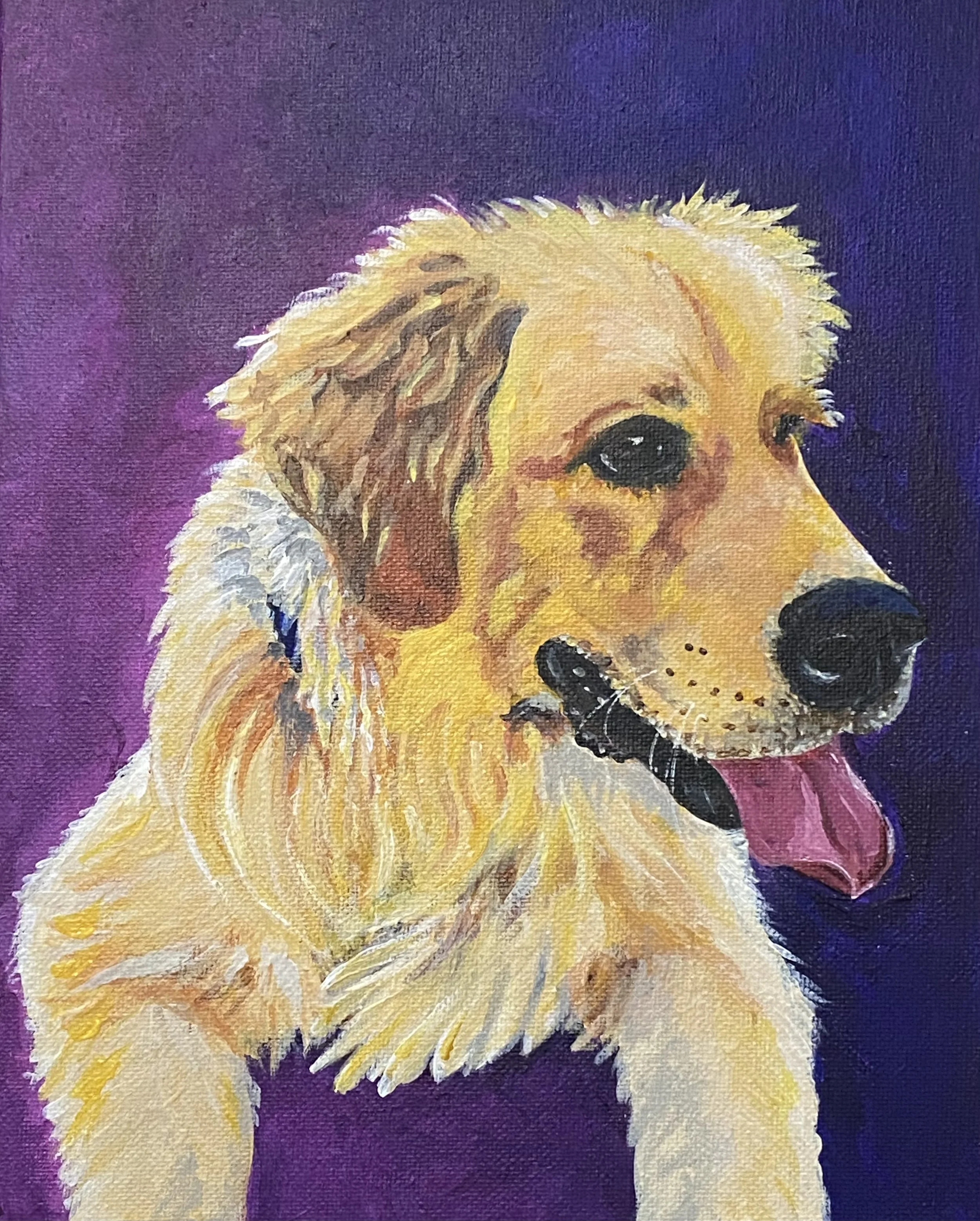 Marshall the Golden Retriever