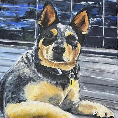 Boss the Blue Heeler