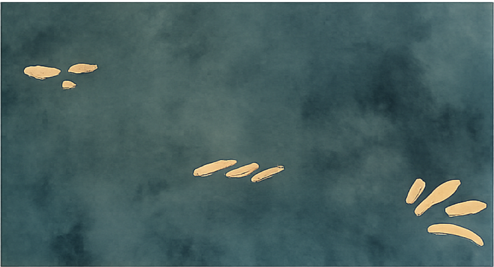 Aerial view of a body of water with a group of six ducks swimming in a line.