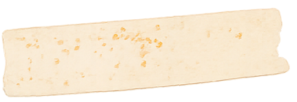 A blank, worn piece of paper with slightly torn edges and some faded spots.
