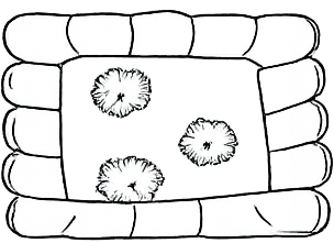 Yuzu Kosho, Wasabi, Kizame Wasabi