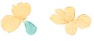 Two cookies with pastel-colored icing and sprinkles, one blue and one beige.
