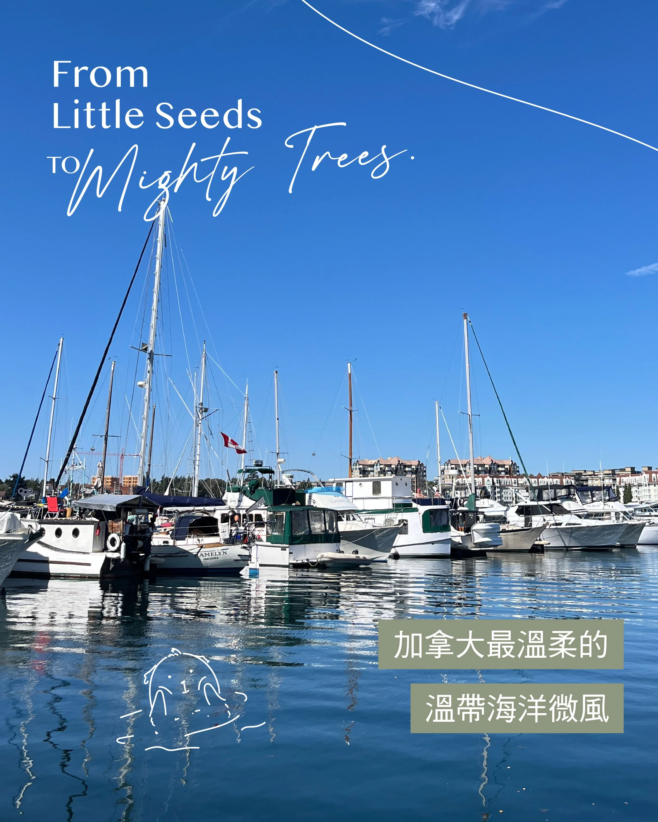 加拿大最溫柔的溫帶海洋微風