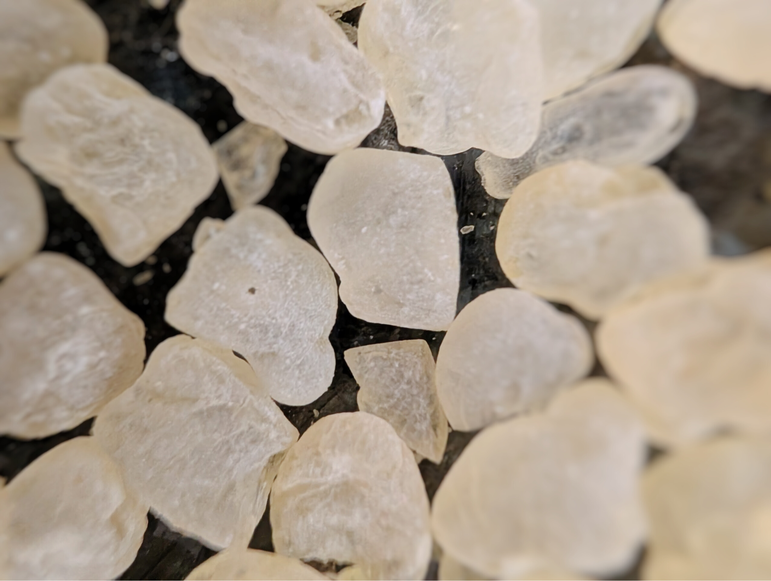 Close-up of Greek mastiha from Chios with a frosted and smooth appearance on a dark background.