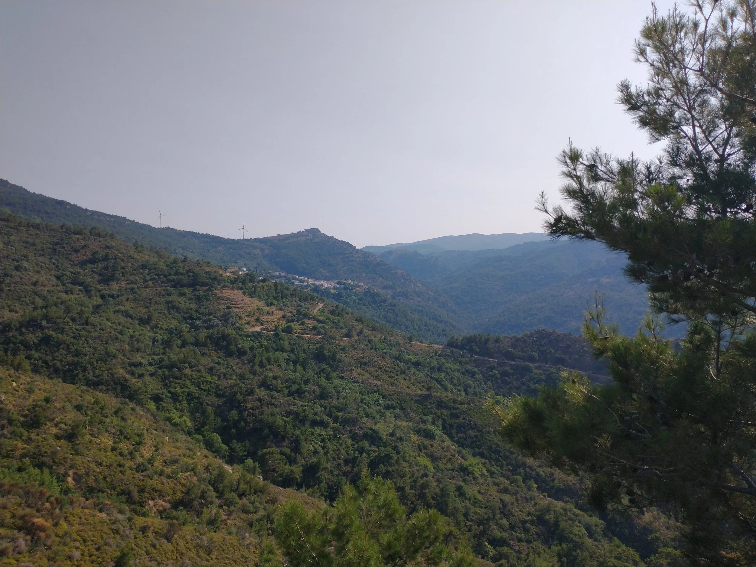 Hilly landscape with green vegetation and wind turbines in the distance, under a clear sky.