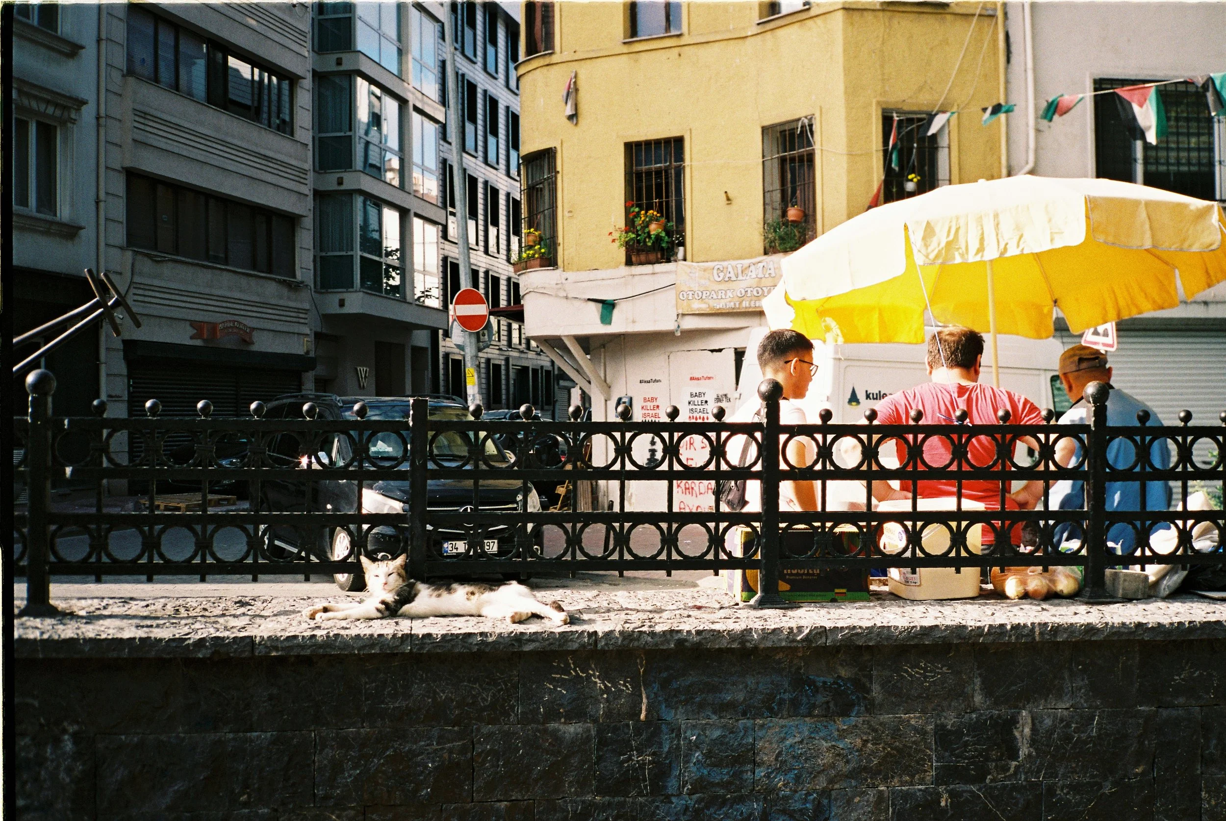 IMG_6215.JPG