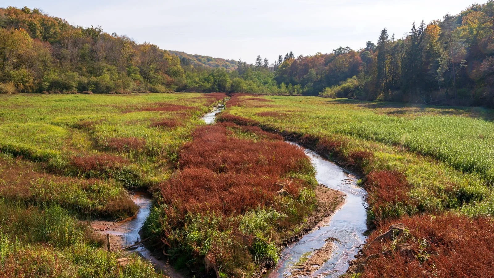 A small winding creek runs through a lush green wetland with red and green vegetation, surrounded by forested hills.