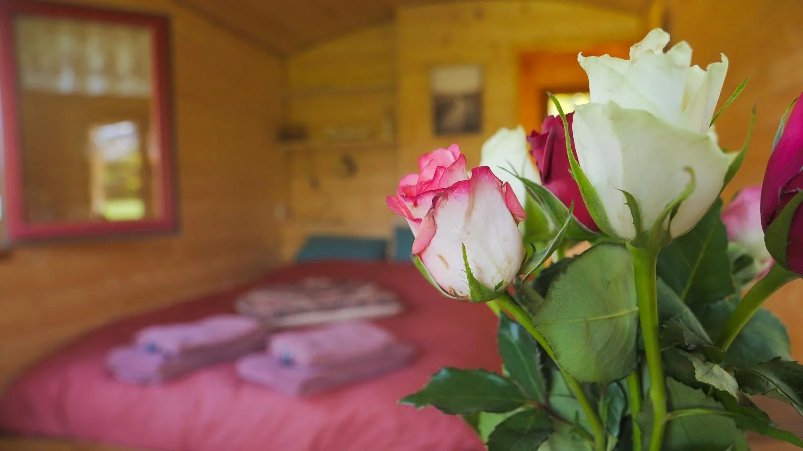 Close-up of a bouquet of roses with pink and white petals in focus, against a blurred background of a bedroom with wooden walls, a bed with pink bedspread, and a mirror.