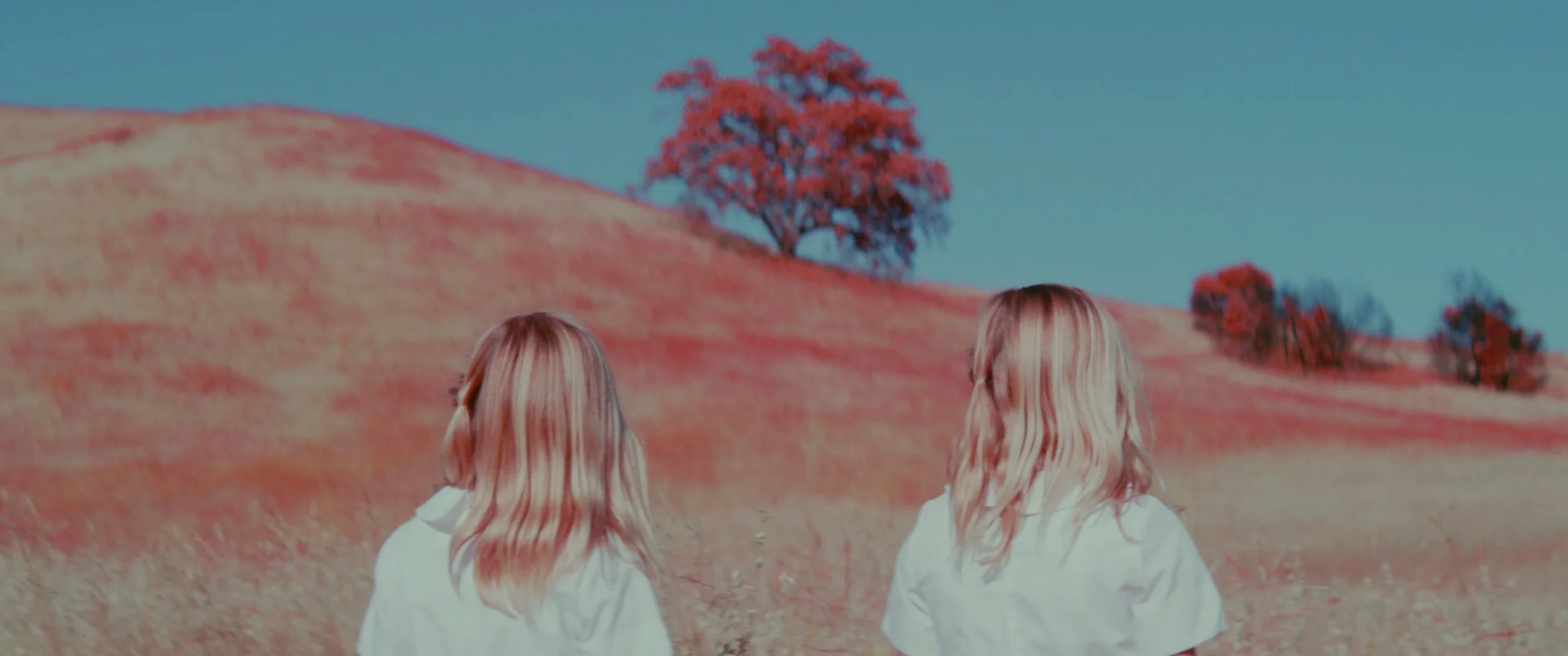 Screenshot 2025-12-28 at 14.26.10.jpg