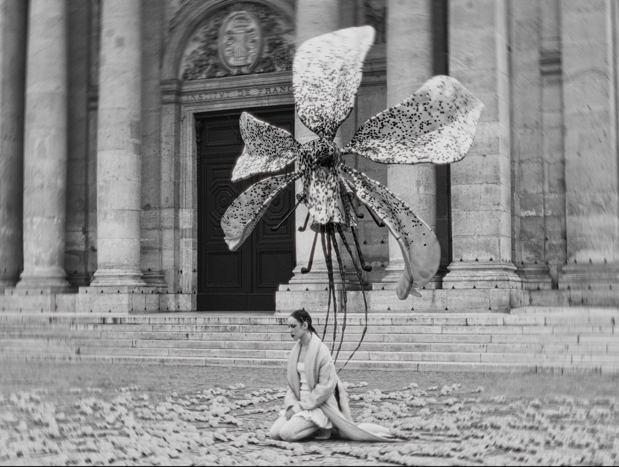 Screenshot 2024-10-19 at 11.52.jpeg