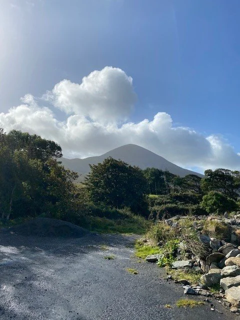 Invitation to join mailing list 