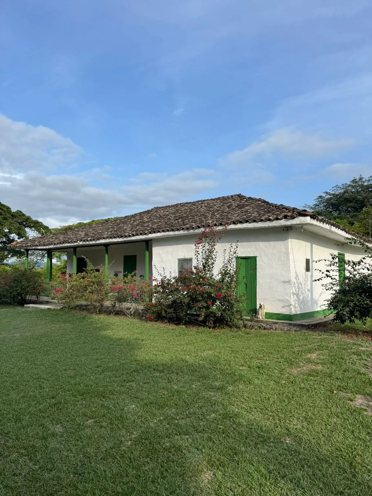 WhatsApp Image 2025-12-18 at 21.24.03 (1).jpeg