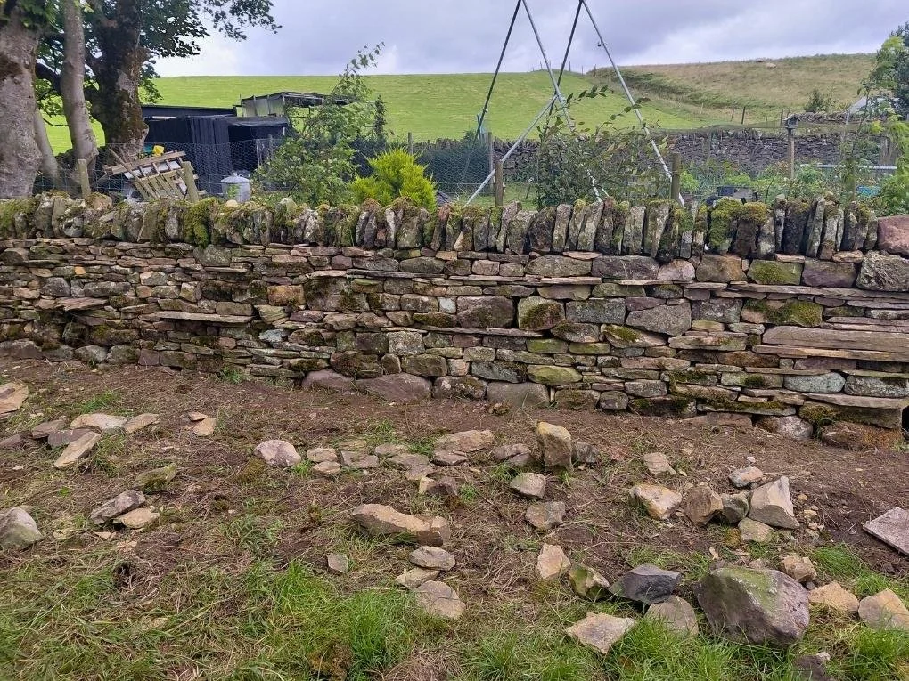 Cawburn Field Wall, Haltwhistle, Hadrians Wall, Northumberland, Farm Wall, Field Boundary