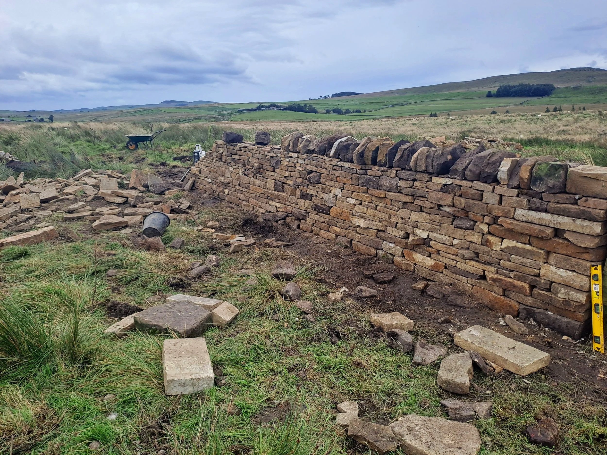Moss+Peteral+Farm+Bield%2C+Walling%2C+Field+Boundary%2C+Brampton%2C+Cumbria.jpg