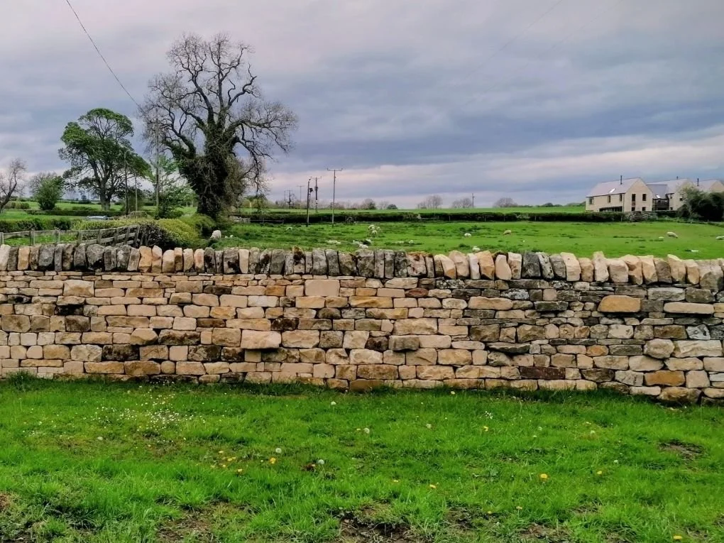 Dry stone field boundary wall, field wall repair, northumberland farm, upland farm, Benjamin Lloyd, hexham