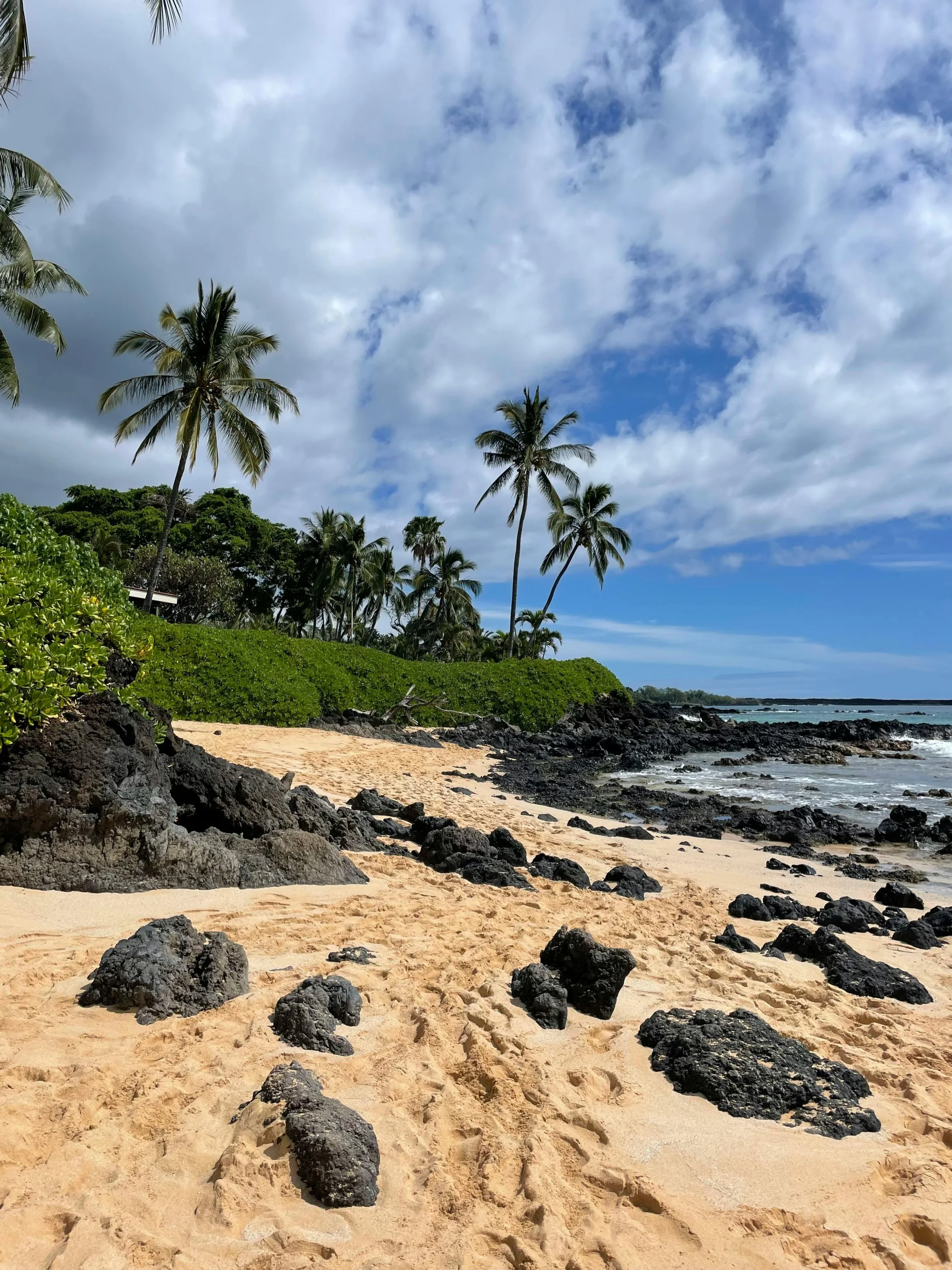 A sandy beach with black rocks along the shore, green shrubbery, and tall palm trees under a partly cloudy sky.
