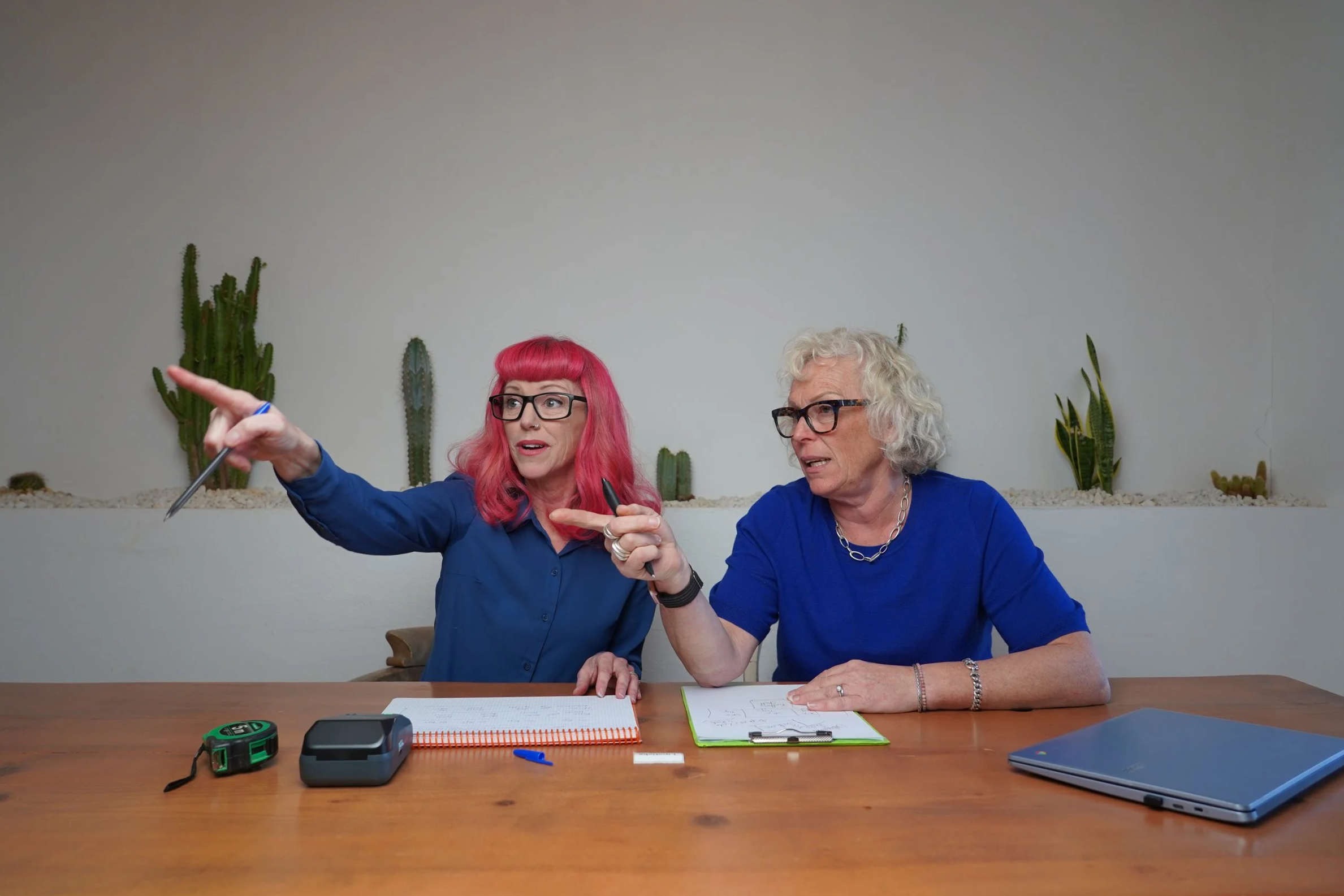 Two women sitting at a wooden table, engaged in a discussion, with plants in the background. One woman with pink hair and glasses points, while the other with curly gray hair and glasses listens.