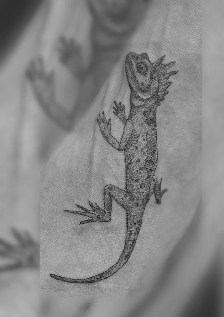 Schwarz-weiße Tätowierung einer Gecko auf schulter.