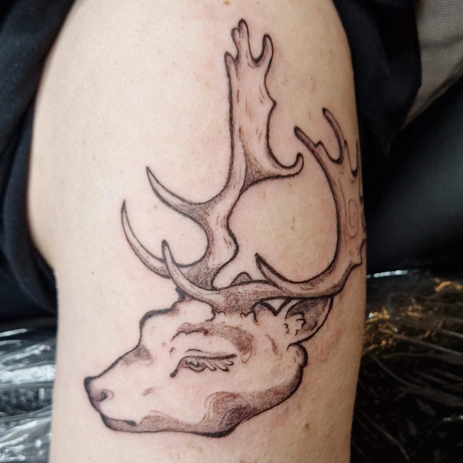 Tattoo eines Hirschkopfes mit Geweih auf der Wade