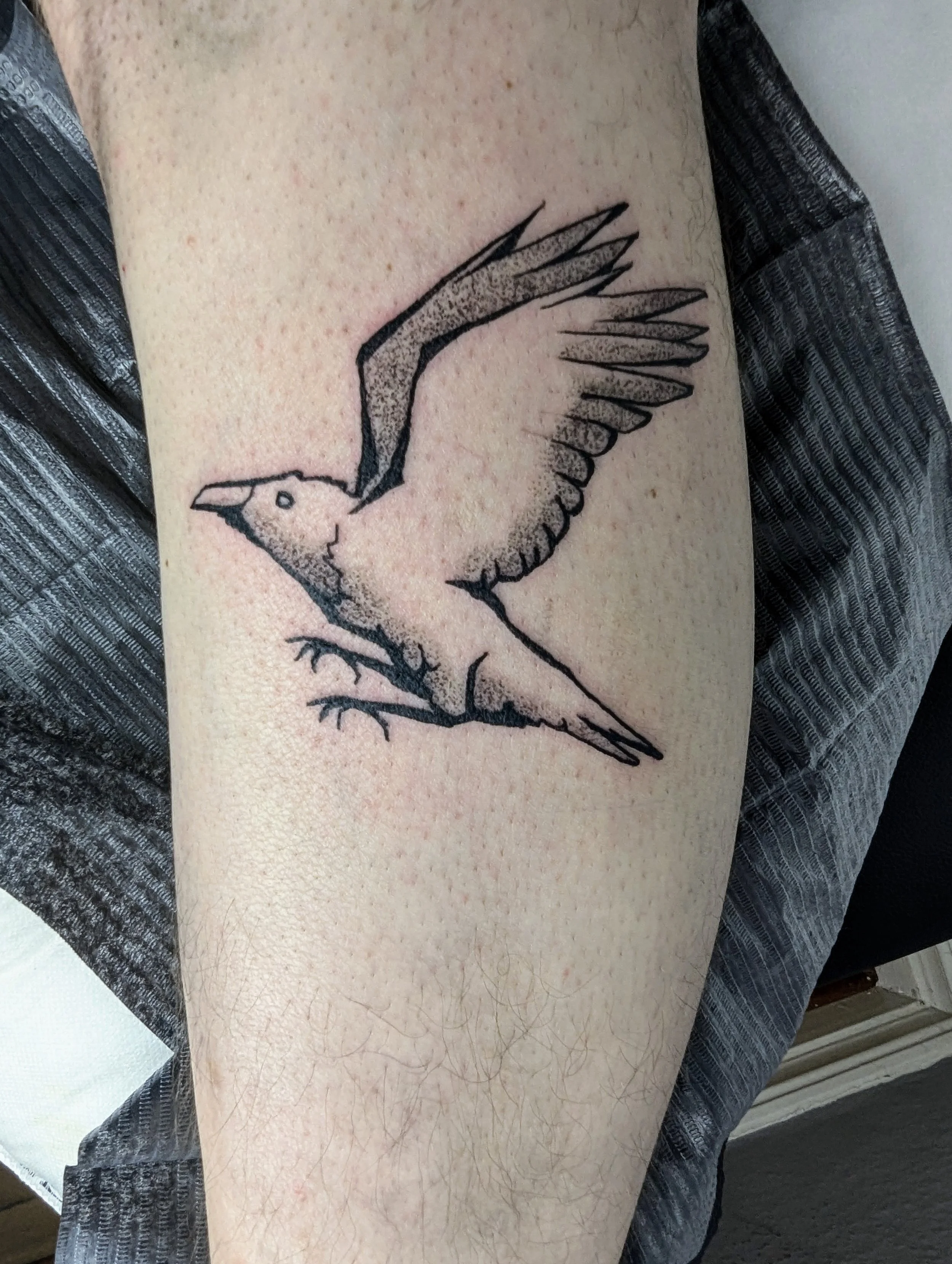 Tattoo eines fliegenden Vogels auf einem Arm.