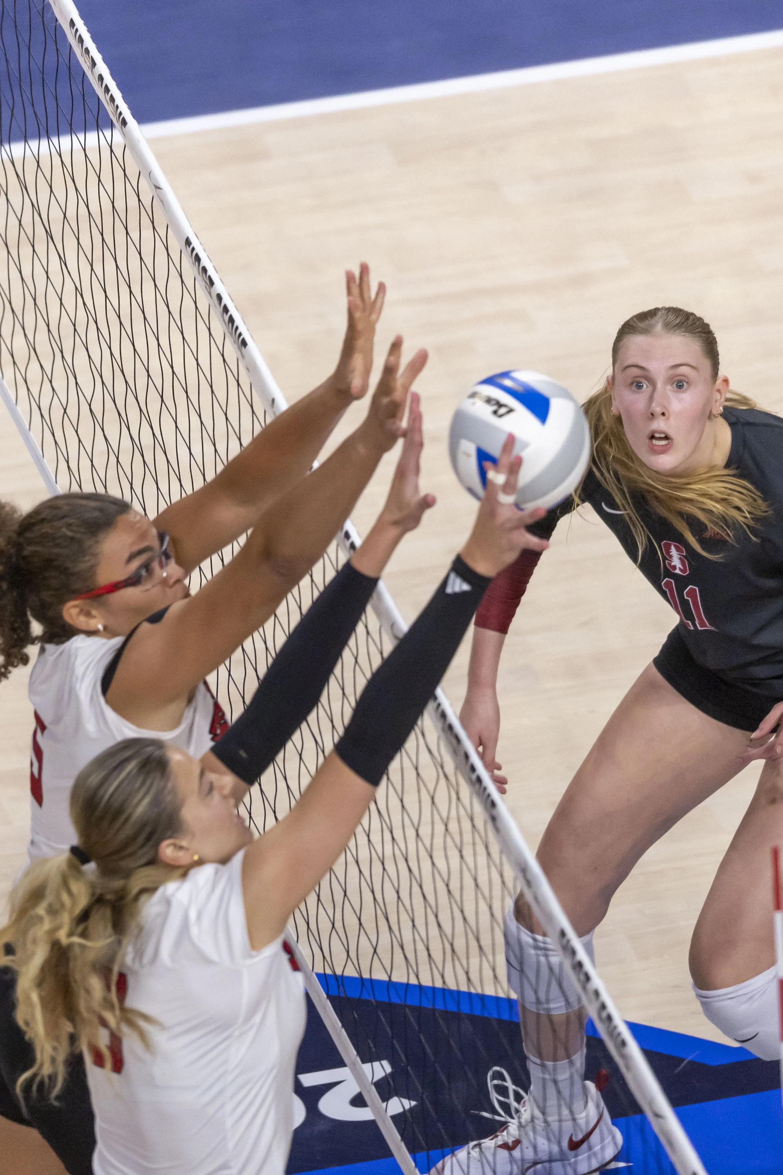VB vs Stanford-DG151.jpg