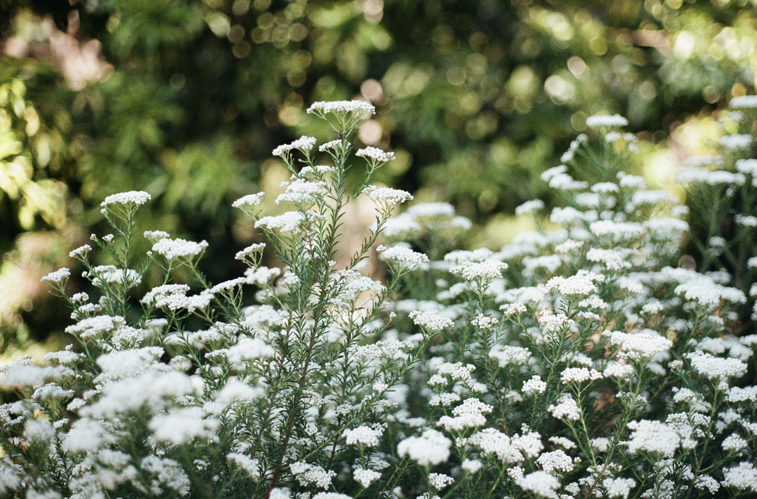 Screen Shot 2025-12-26 at 9.09.48 pm.png