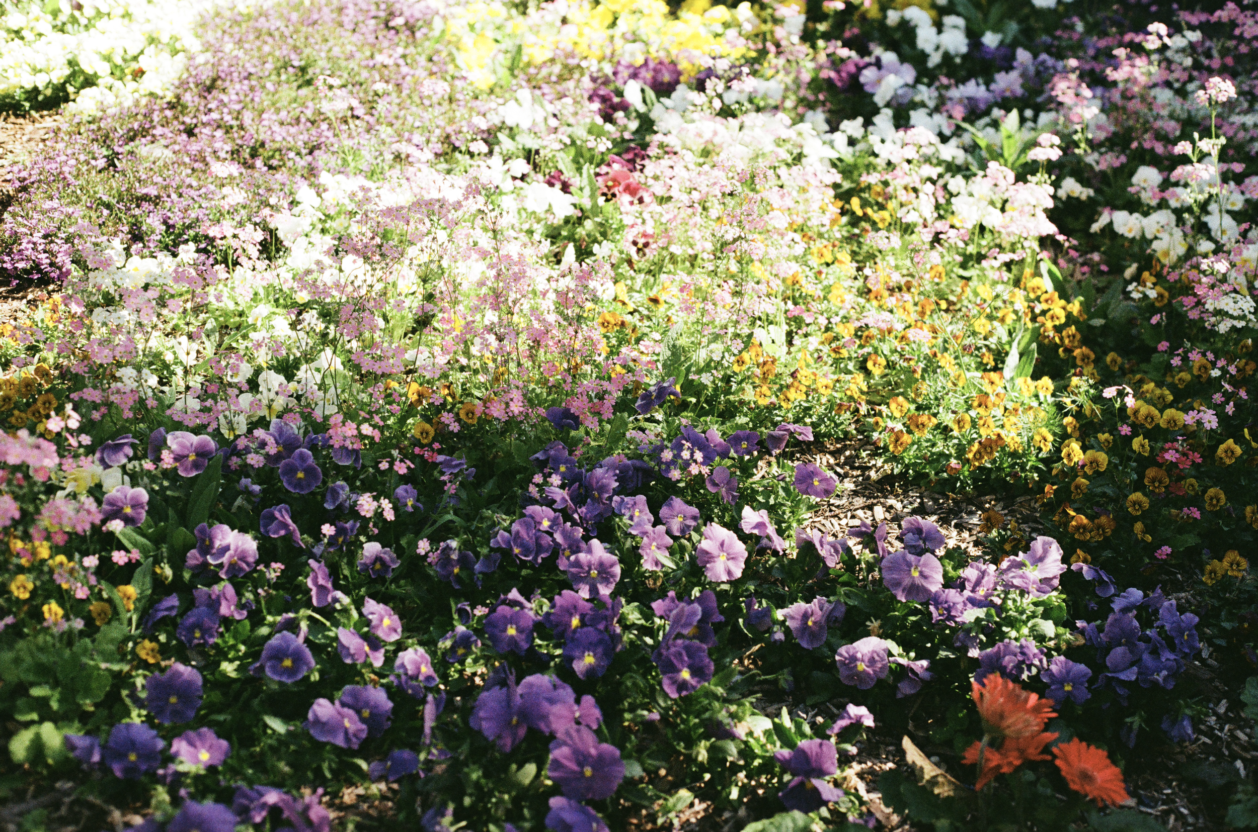 Screen Shot 2025-12-26 at 9.09.38 pm.png