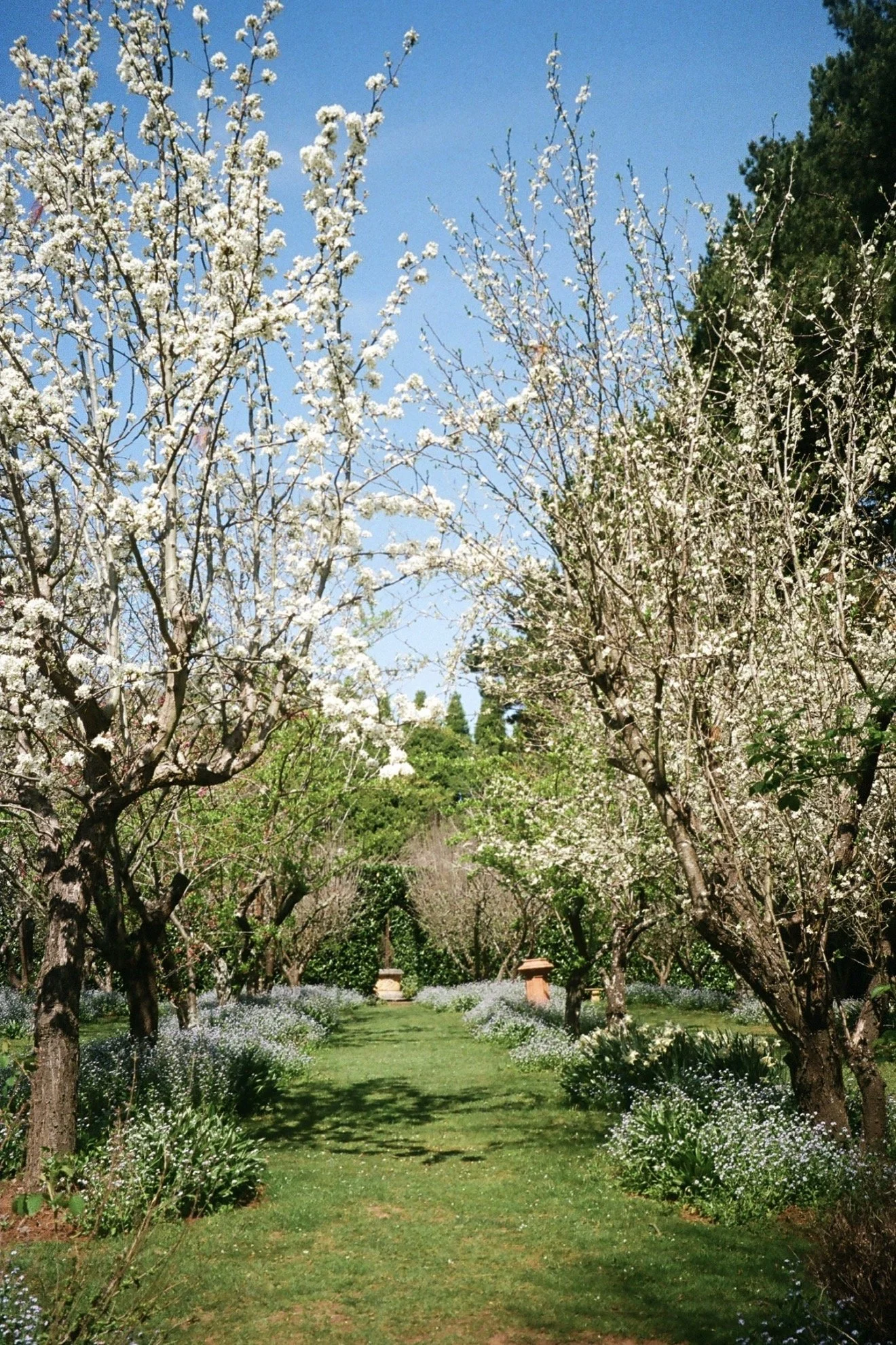 Photo 26-12-2025, 7 53 13 pm.jpg