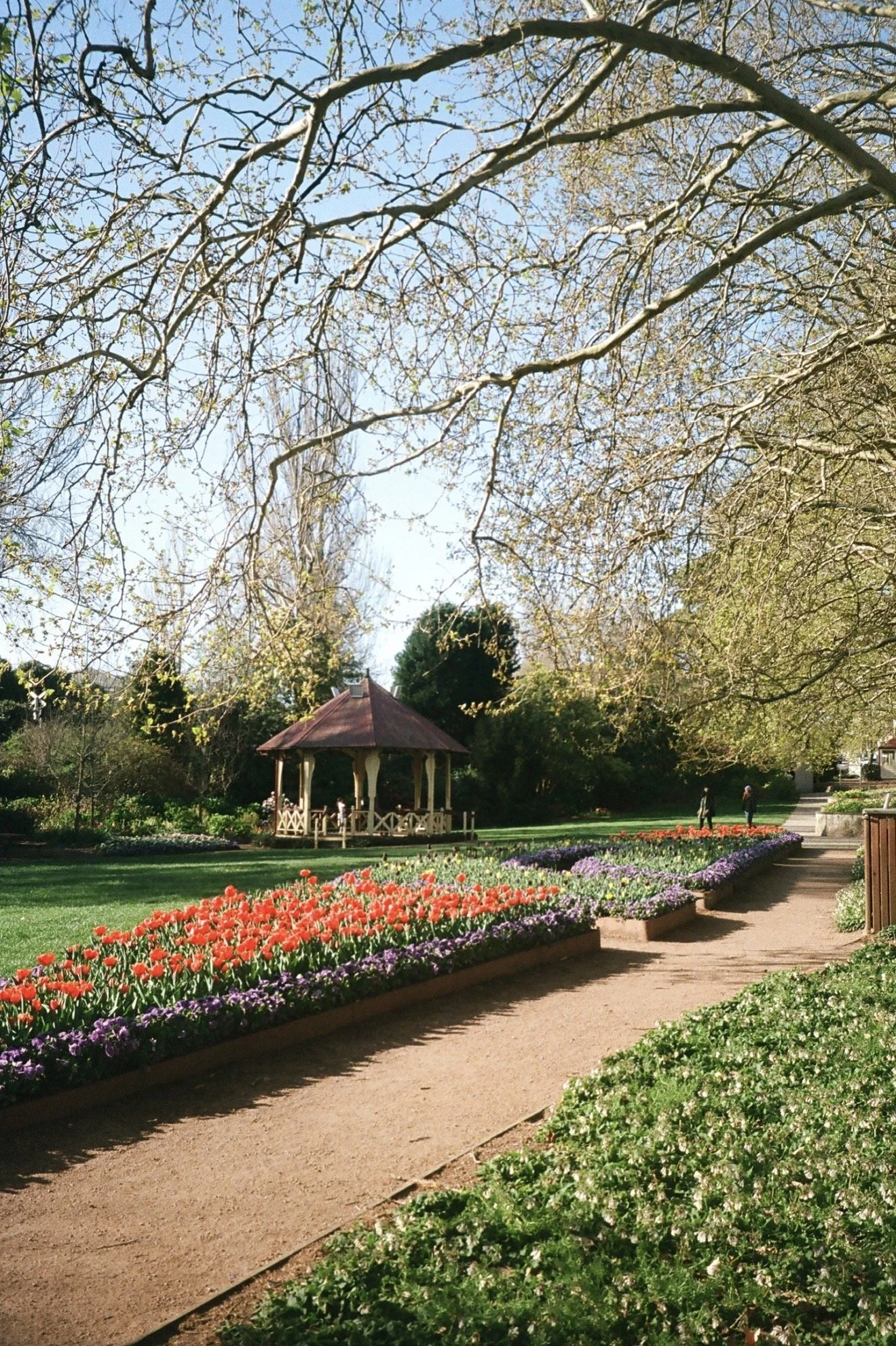 Photo 26-12-2025, 7 52 03 pm.jpg