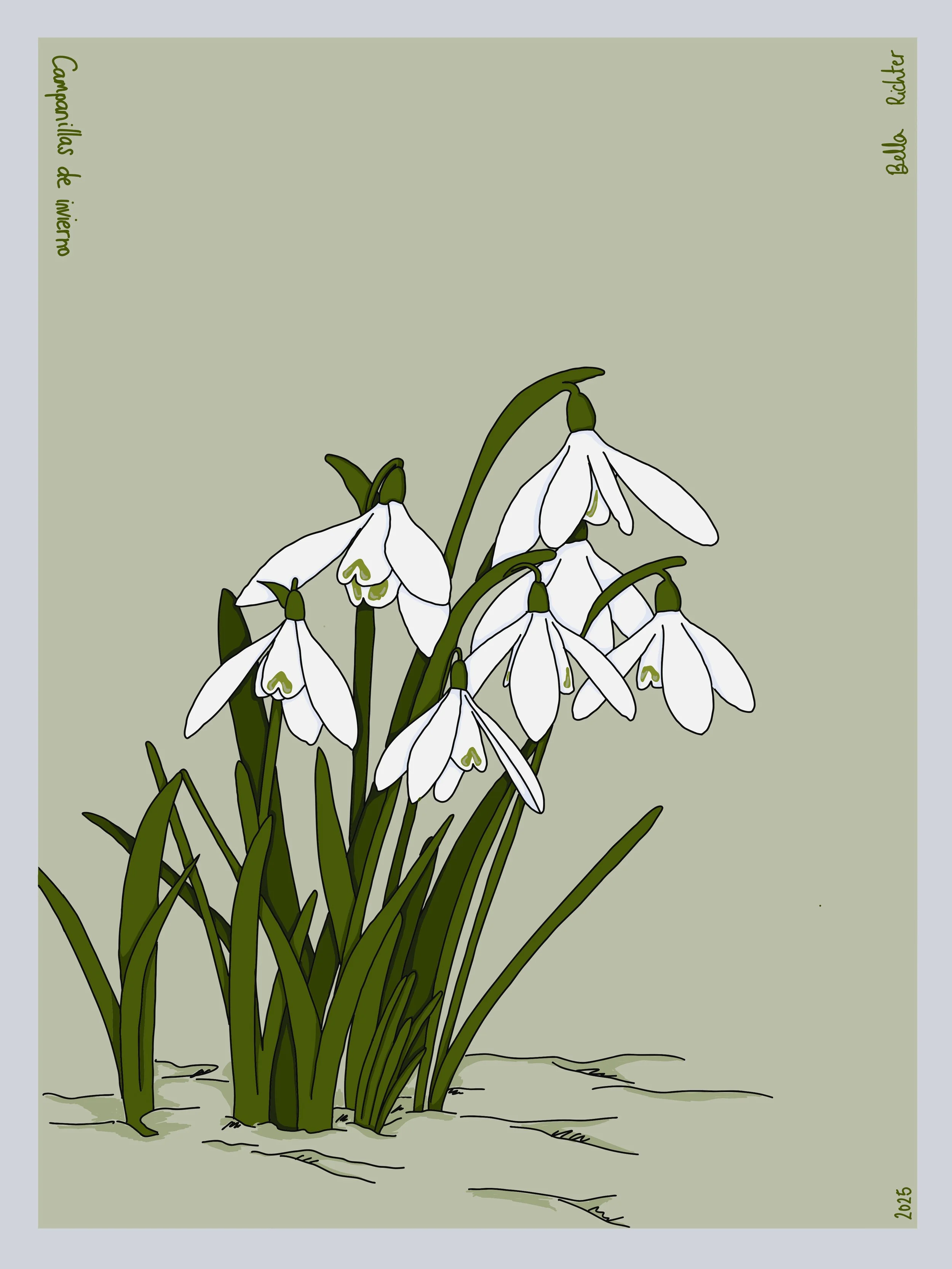 Campanillas de invierno