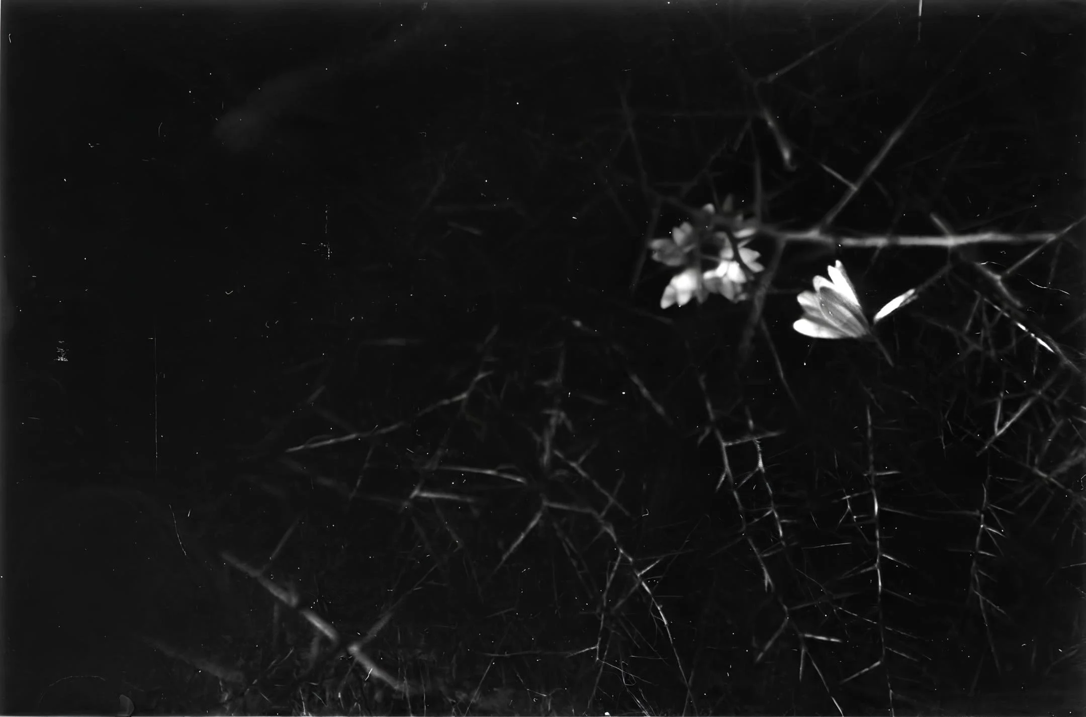 20ème jour à la recherche d’un inconnu.