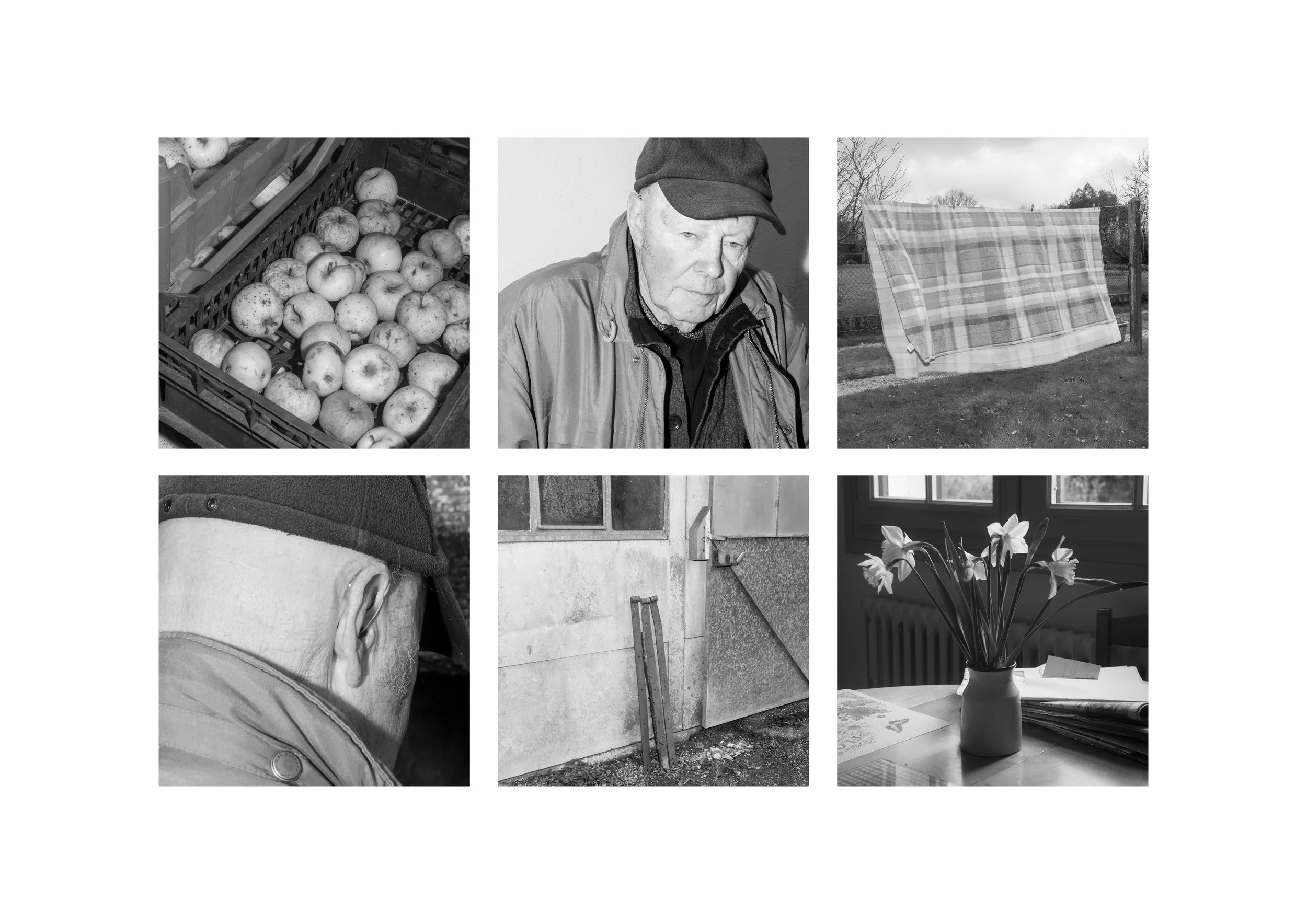 Les petites bêtes mangent pas les grosses