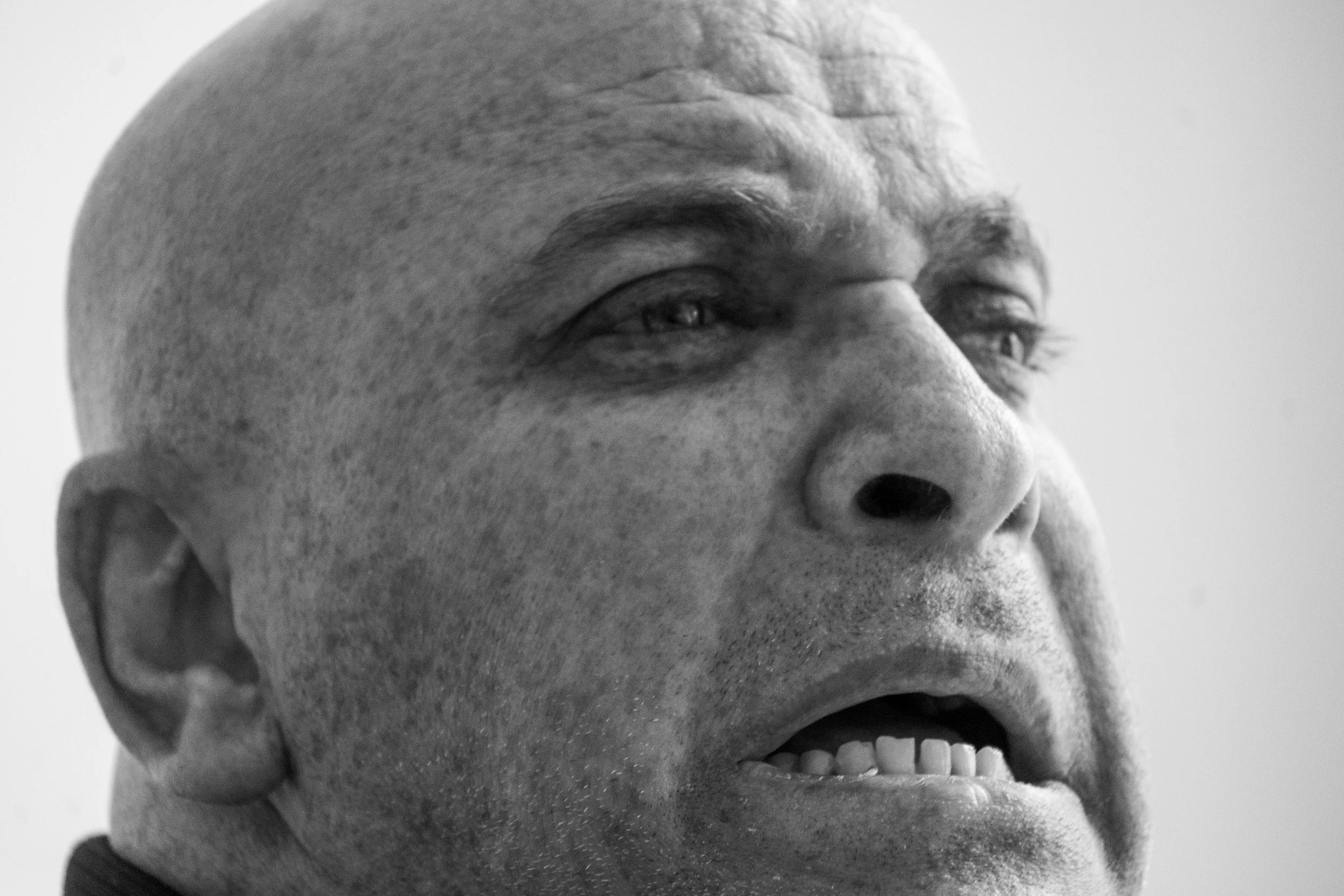 Les Rois du Silence