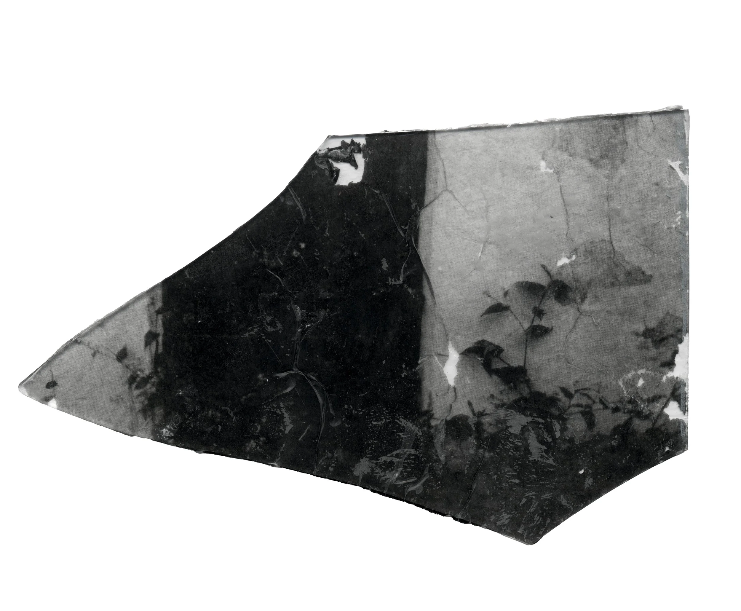 Morceau de pierre noire en forme de triangle avec des fissures et des motifs de végétation