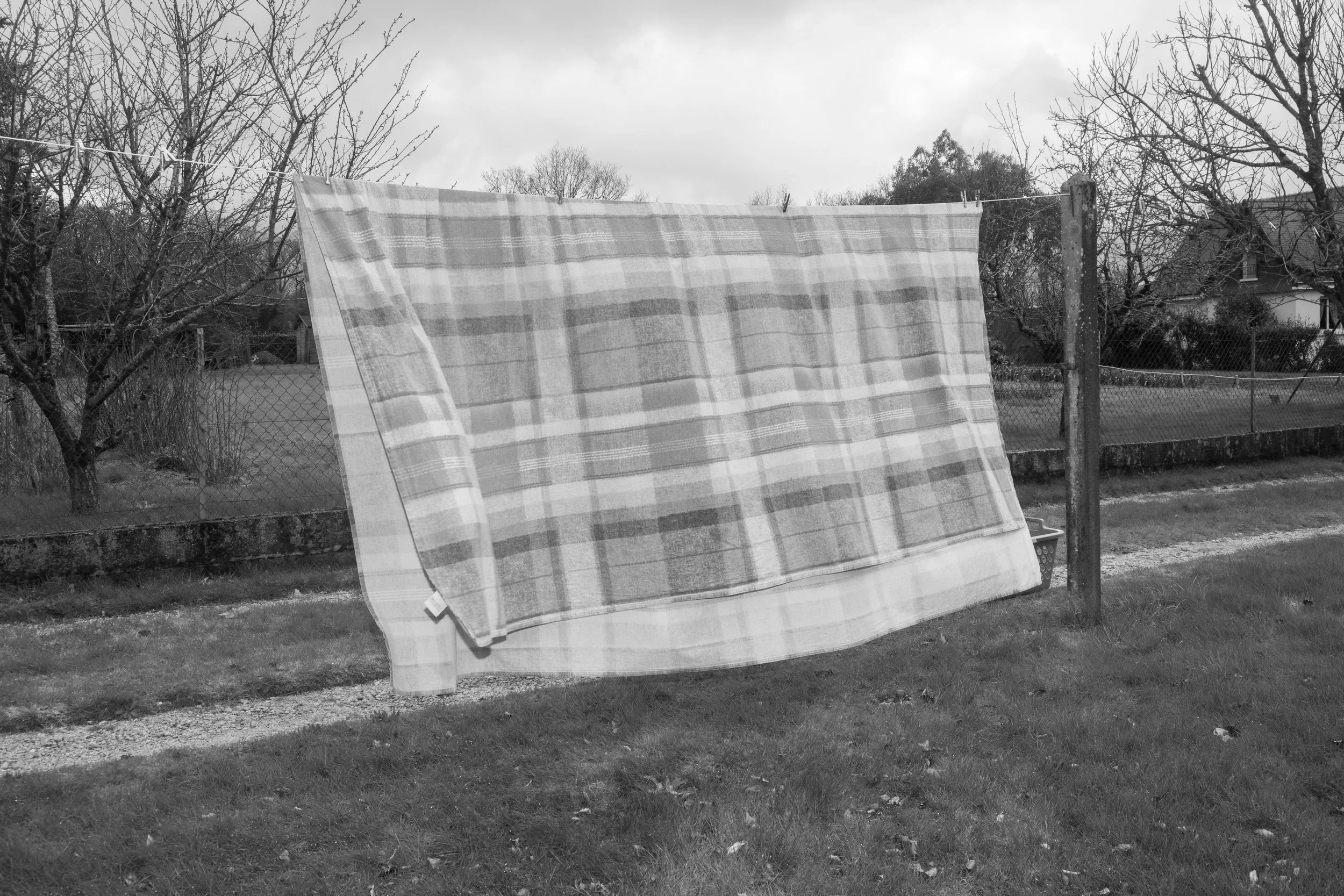 Une serviette ou un tapis suspendu à une corde entre deux poteaux dans un jardin, avec des arbres et une maison en arrière-plan, dans un environnement extérieur.