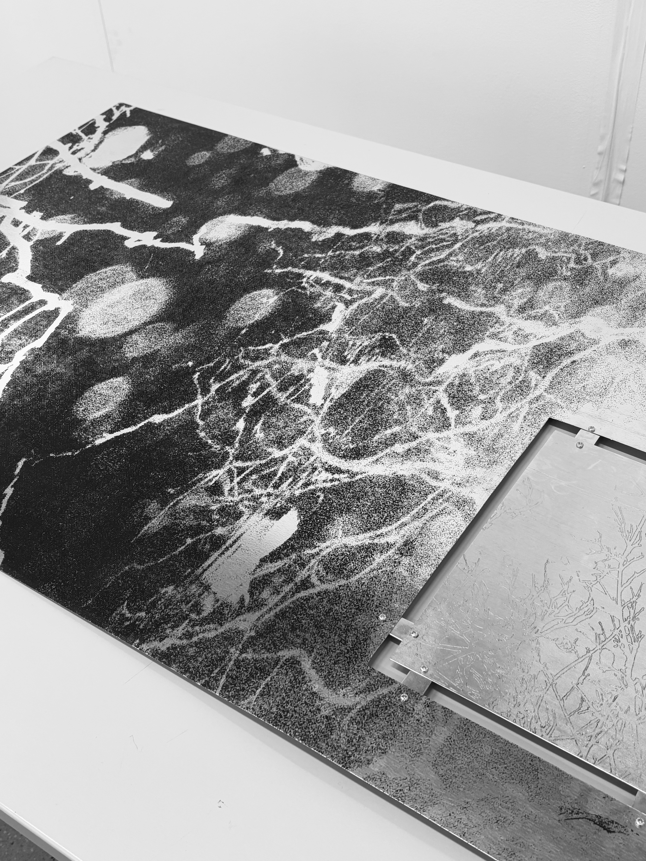 Photo en noir et blanc d'une structure avec un motif de branches d'arbre et de cercles, une partie de la structure est en métal avec de petites vis, posée sur une surface blanche.