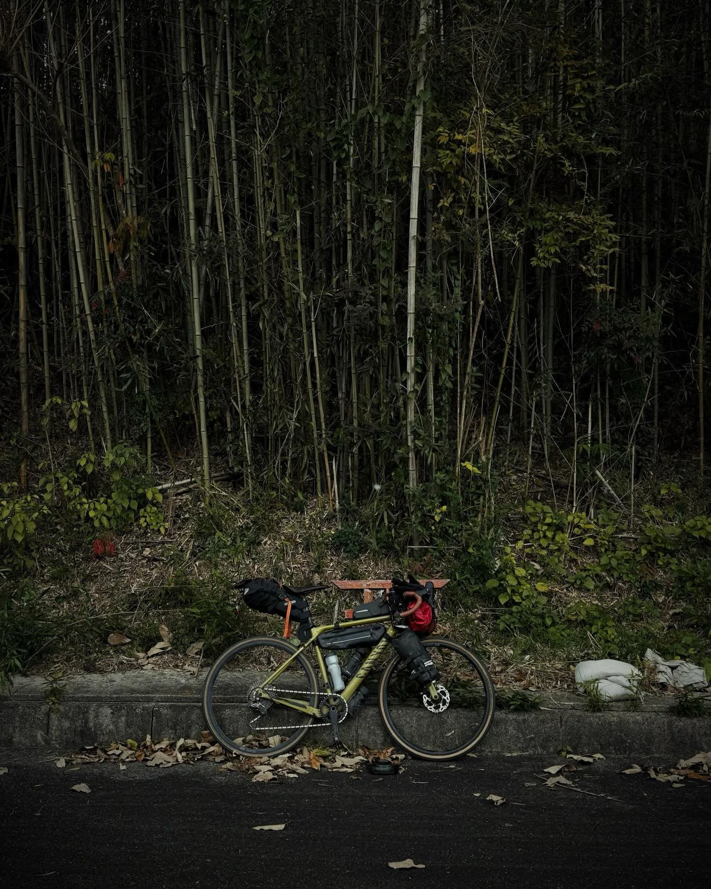 115&egrave;me jour au 120&egrave;me jour (6 jours), 643 km &agrave; v&eacute;lo (9369km au total), Fukuoka &rarr; Osaka

ARRIV&Eacute; AU JAPON !! &Agrave; ce moment le d&eacute;fi est en partie r&eacute;ussi, j&rsquo;ai reli&eacute; la France au Jap