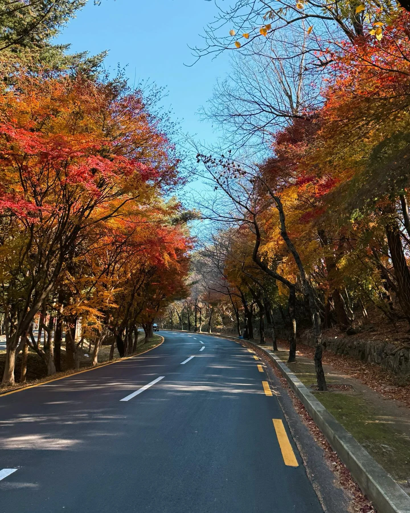 106 &egrave;me au 114 &egrave;me jour (9 jours), 574 km &agrave; v&eacute;lo, Incheon &rarr; Busan

Premier pied en Cor&eacute;e, la joie est immense, partager avec Margaux et Jonathan mes amis du bateau. Sans perdre de temps je fonce vers S&eacute;o