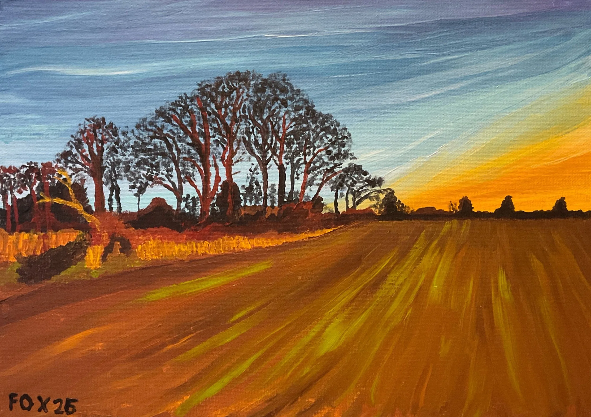 Field in Carlton Miniott