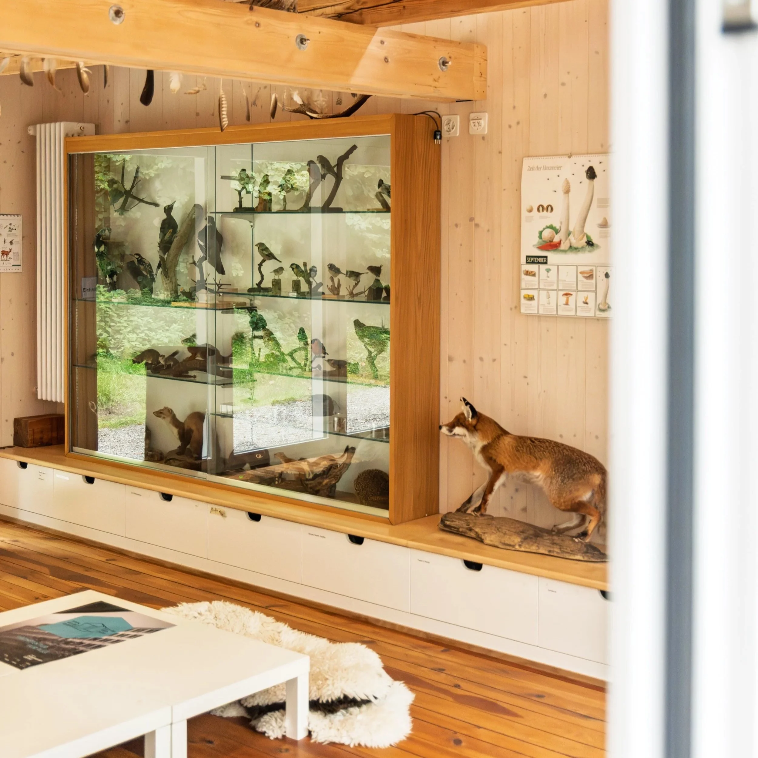 Waldschule Adlisberg Innenraum