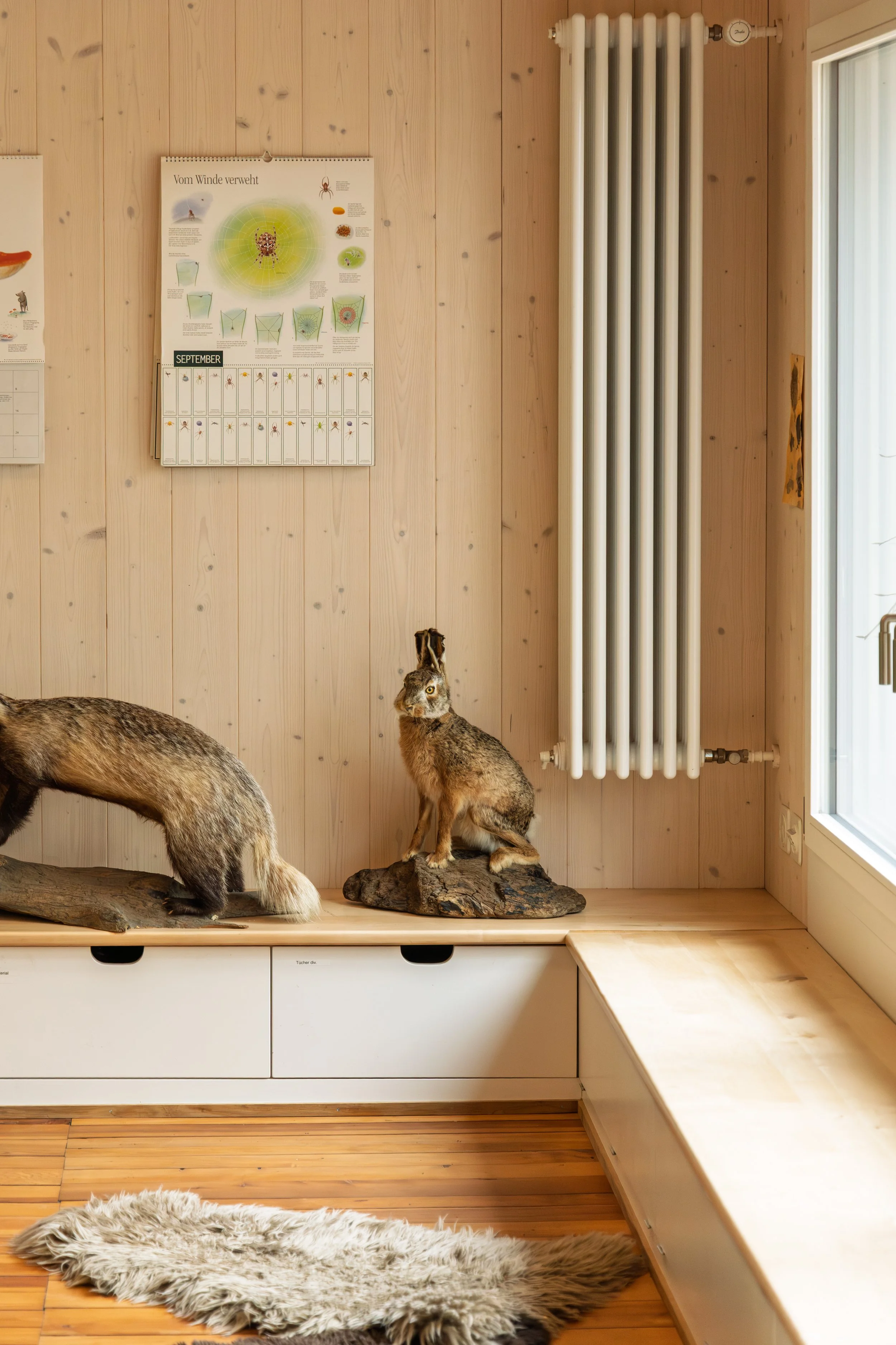 Waldschule Adlisberg Innenraum