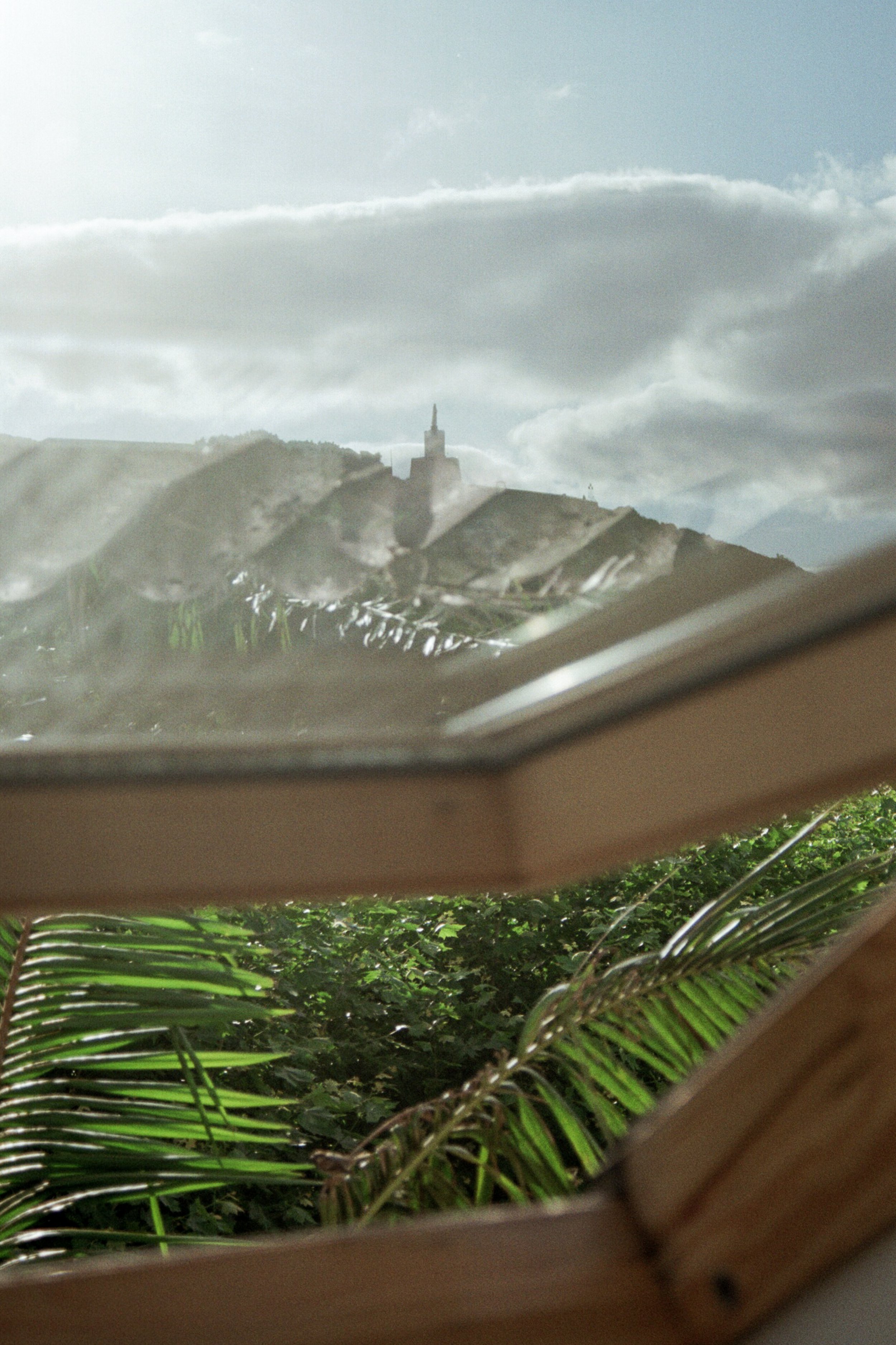 Vista de uma cidade com uma estátua no topo de uma colina, vista através de uma janela com plantas verdes em primeiro plano.