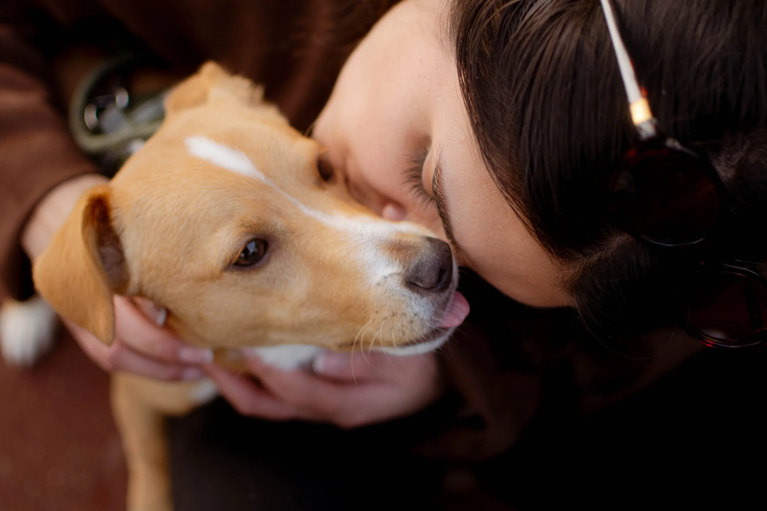 Diana and Bao, 2025, on digital.