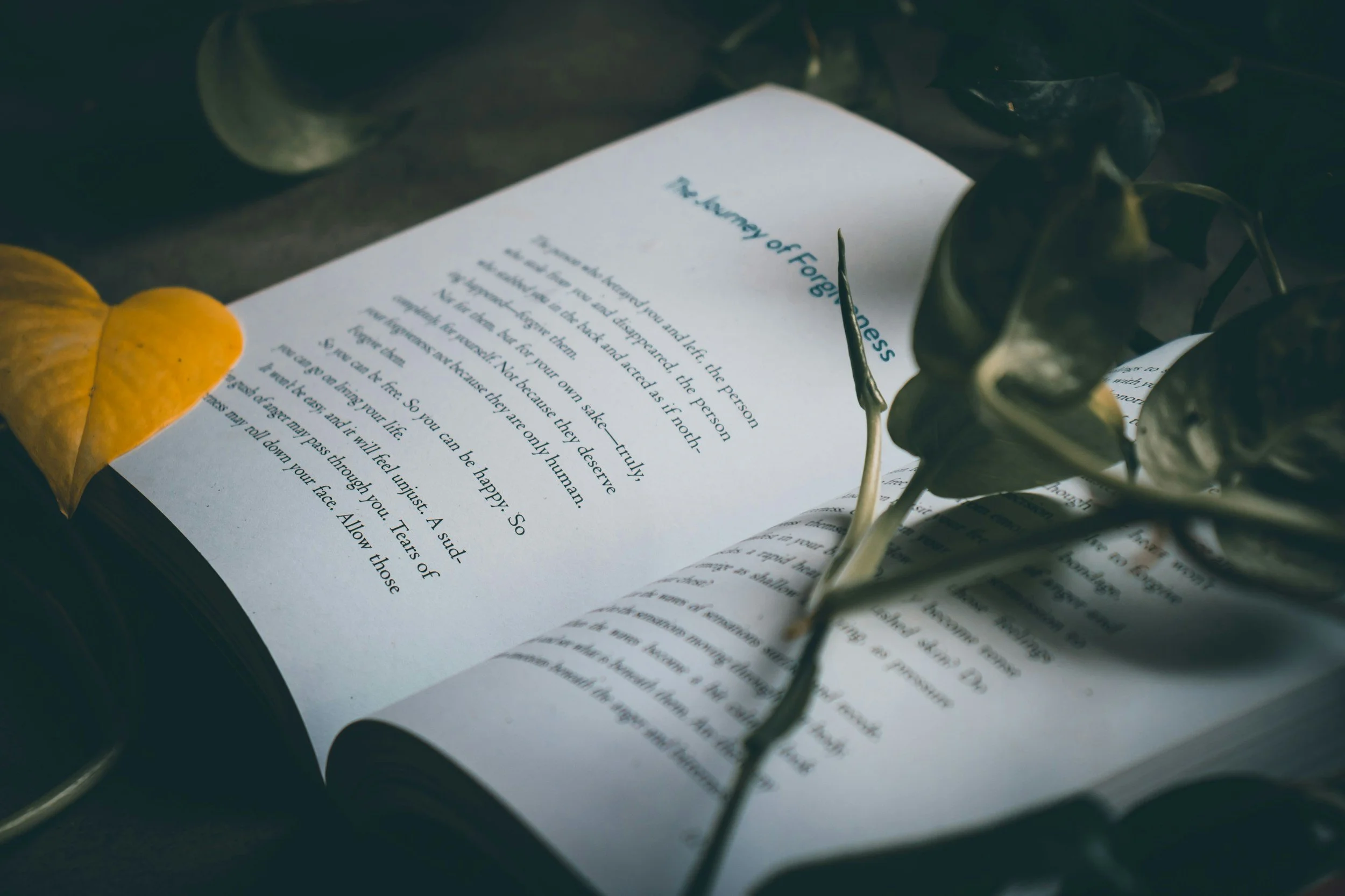 Open book with a highlighted poem titled 'The Economy of Forgiveness,' placed on a surface with a yellow leaf and a sprig of dried leaves.