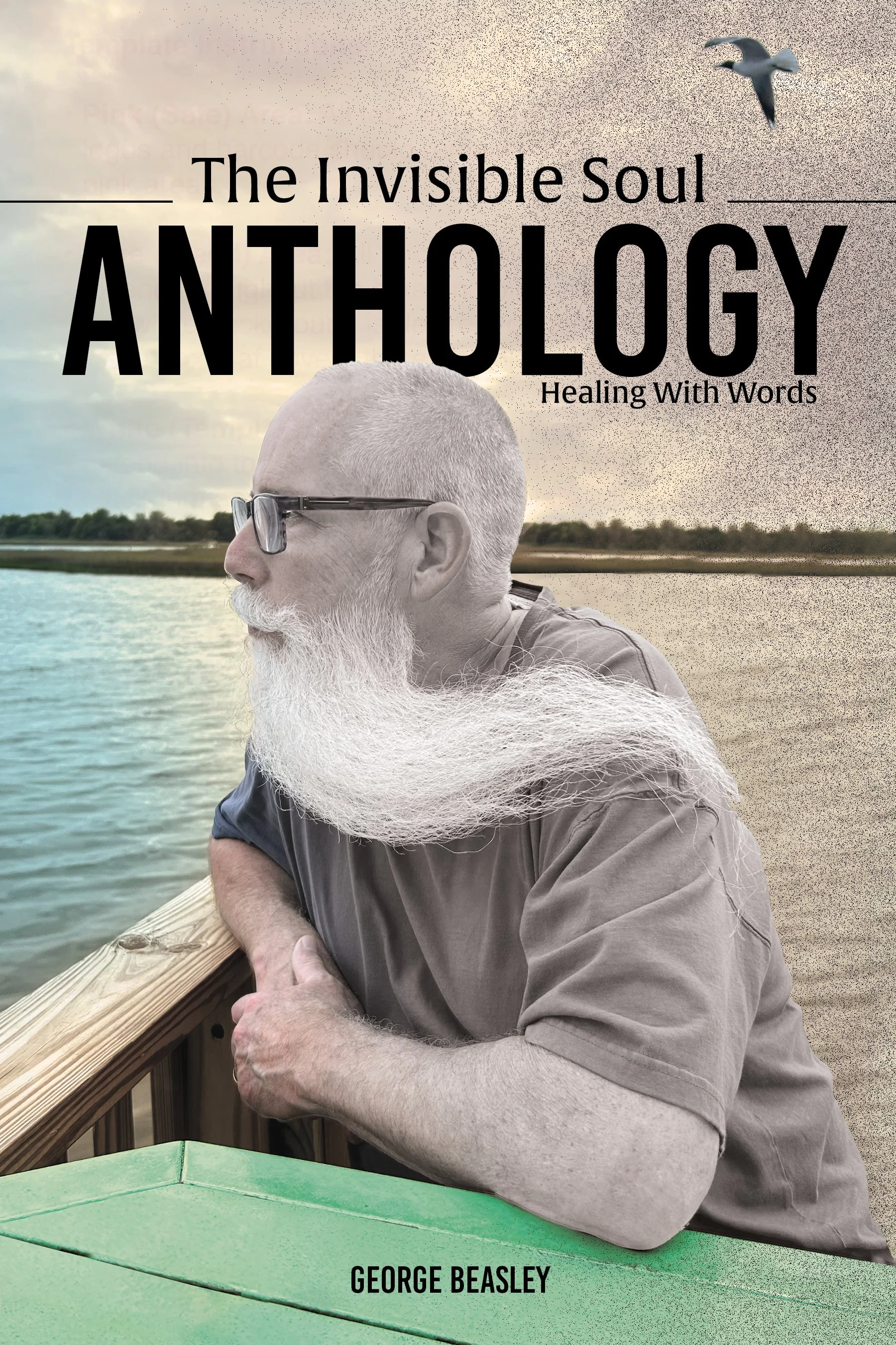 Cover of the book titled 'The Invisible Soul: An Anthology' by George Beasley, featuring a profile of an elderly man with glasses and a white beard, outdoors near water with a bird flying in the sky.