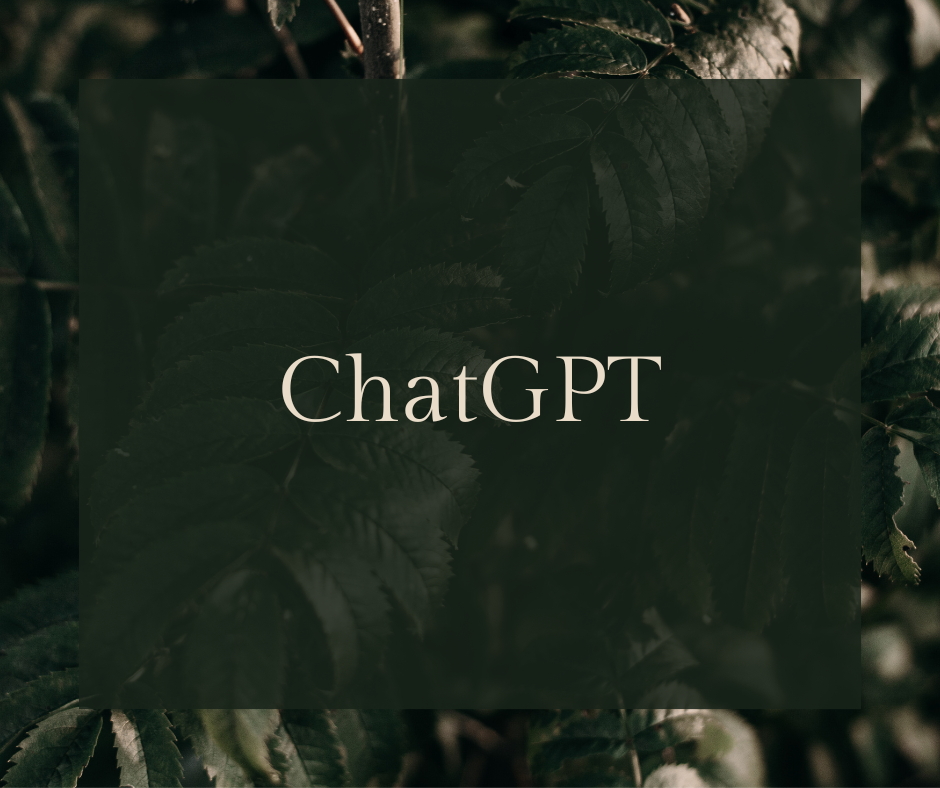 ChatGPT Safety Guide