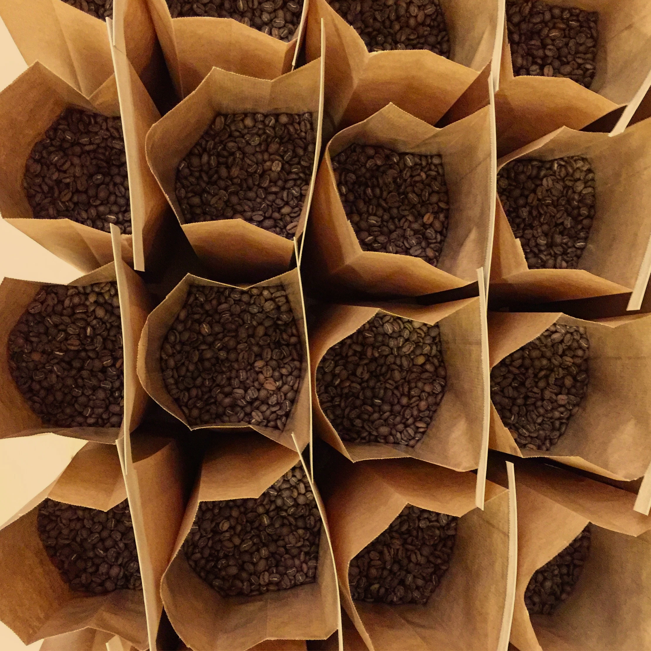 Multiple paper bags filled with coffee beans arranged upright in a grid pattern.