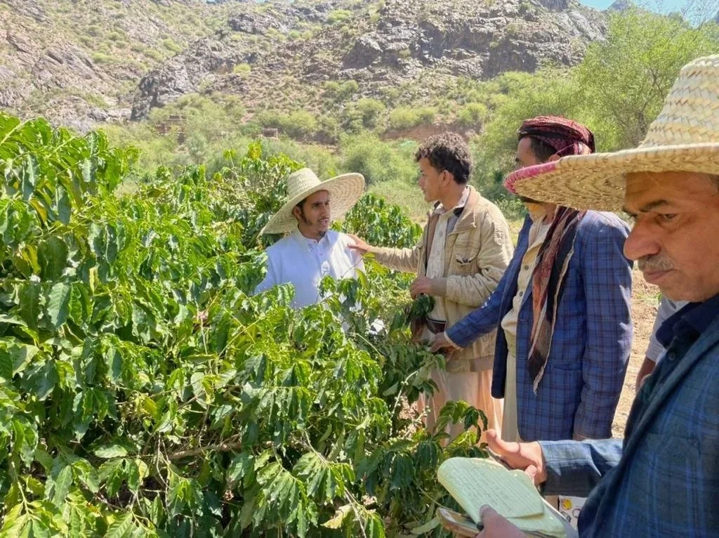 Group of men in traditional and western clothing inspecting coffee plants in a lush green plantation with mountainous terrain in the background.