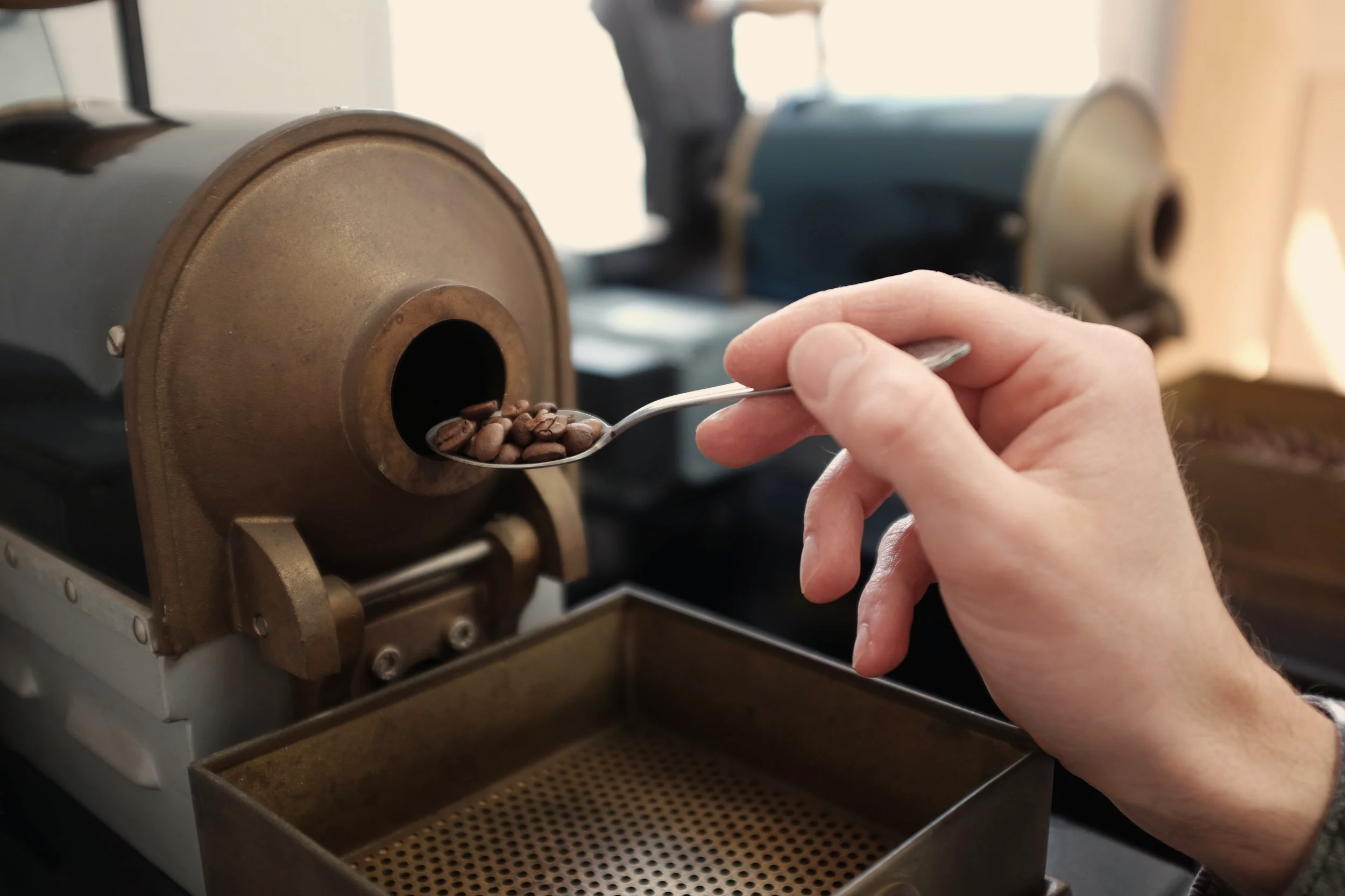 A hand holding a spoon with coffee beans near a coffee roasting machine.